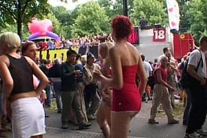 cherrycrush欧美在线